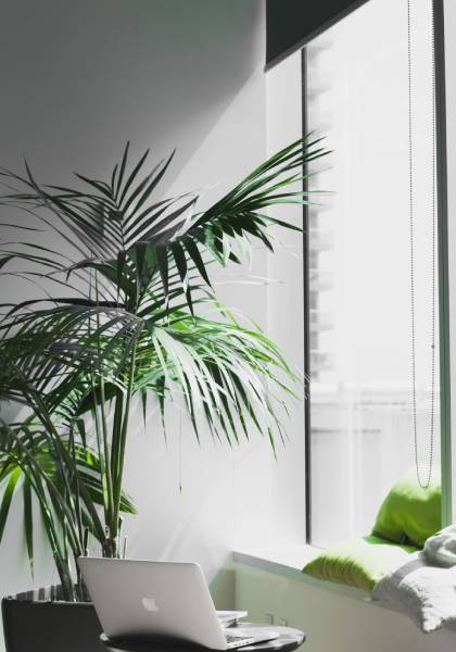 Virtual Office In Chennai